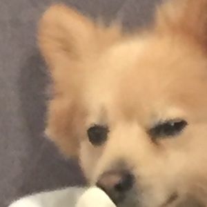 Meet your Posher, Devy